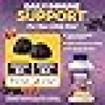 Viva Naturals Sugar-Free Sambucus Elderberry Gummies for Kids, 8-in-1 Children Immune Support with Vitamin C & Zinc – Chewable, Vegan & Gluten-Free (120 Count) for Daily Wellness