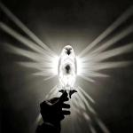 Cross-border 3D Wall Light Animal LED Sleep Night Light Wall Light Owl Eagle Art Decorative Light
